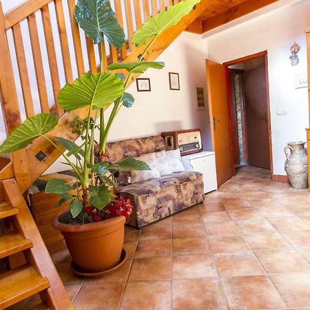 Bizeljsko Holiday Home Juricko With Private Sauna מראה חיצוני תמונה