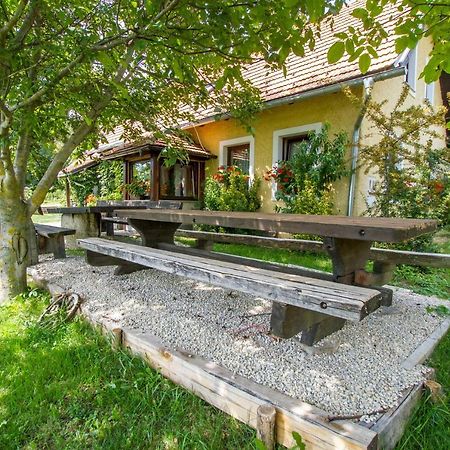 Bizeljsko Holiday Home Juricko With Private Sauna מראה חיצוני תמונה