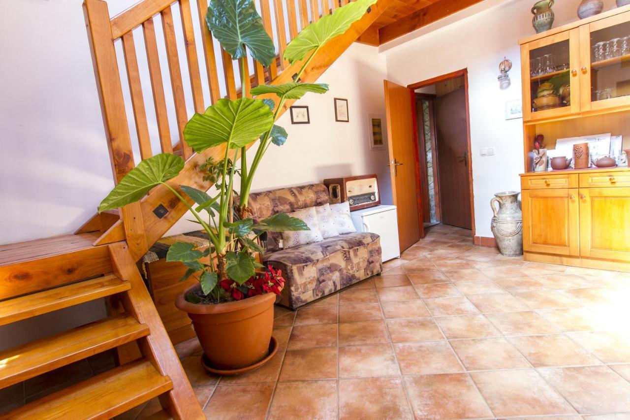 Bizeljsko Holiday Home Juricko With Private Sauna מראה חיצוני תמונה