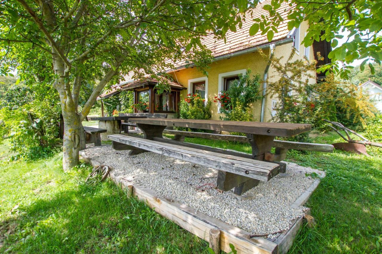 Bizeljsko Holiday Home Juricko With Private Sauna מראה חיצוני תמונה
