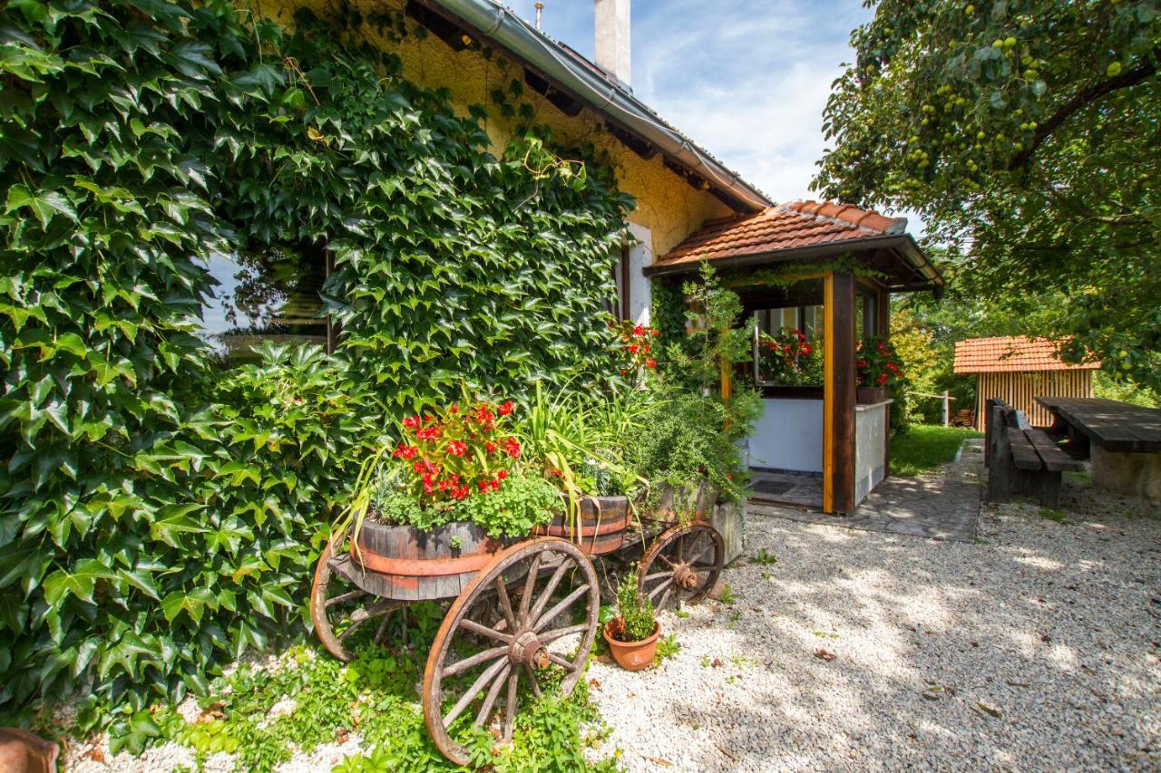 Bizeljsko Holiday Home Juricko With Private Sauna מראה חיצוני תמונה