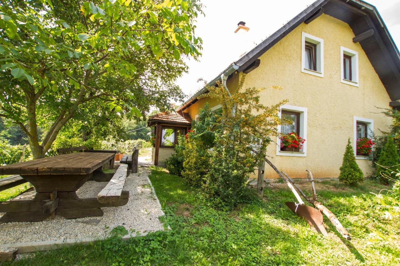 Bizeljsko Holiday Home Juricko With Private Sauna מראה חיצוני תמונה